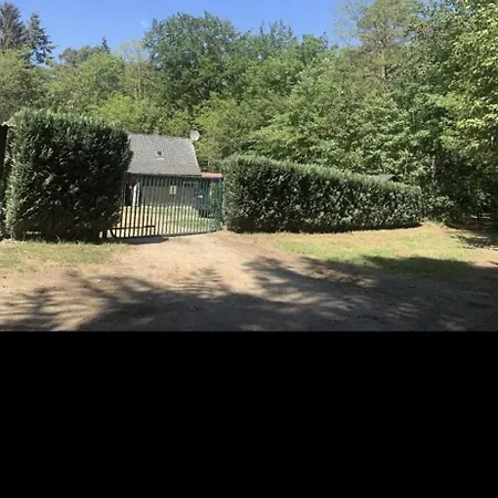 Bella Apartment